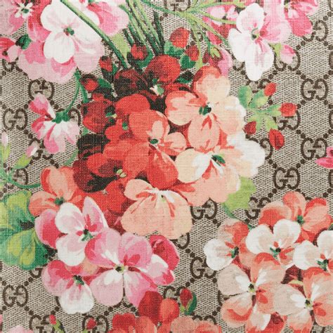 gucci print with flowers|gucci floral background.